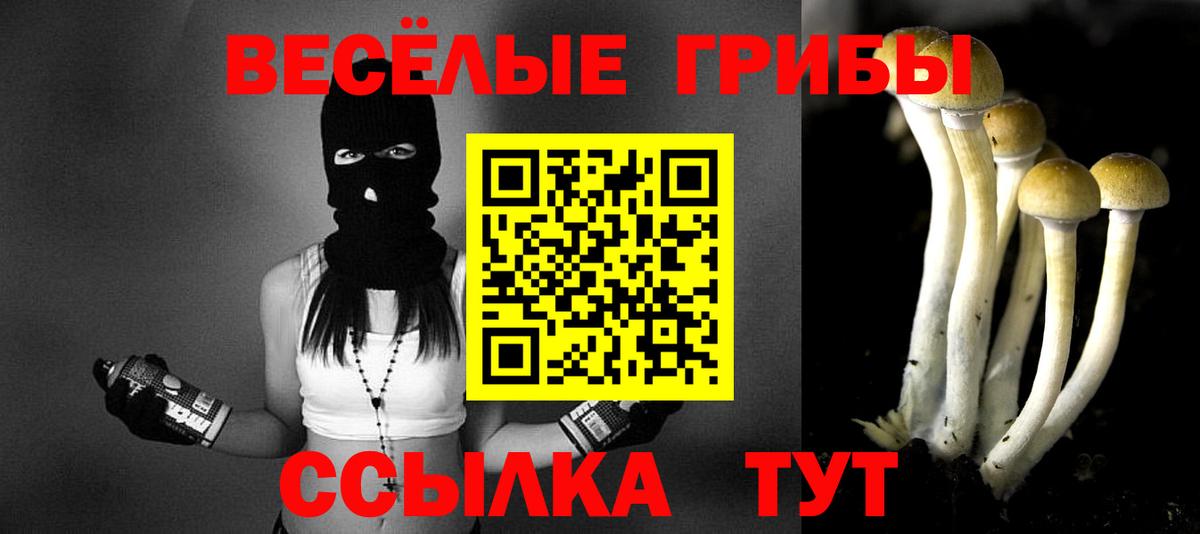 Галлюциногенные грибы мицелий  Вход с VPN  Миасс 