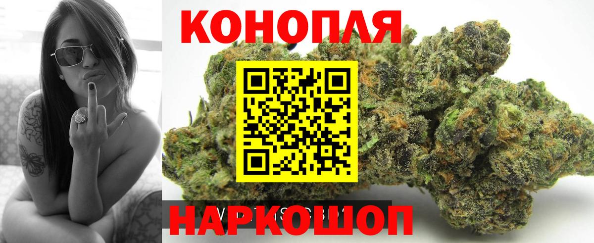 Каннабис сатива Миасс